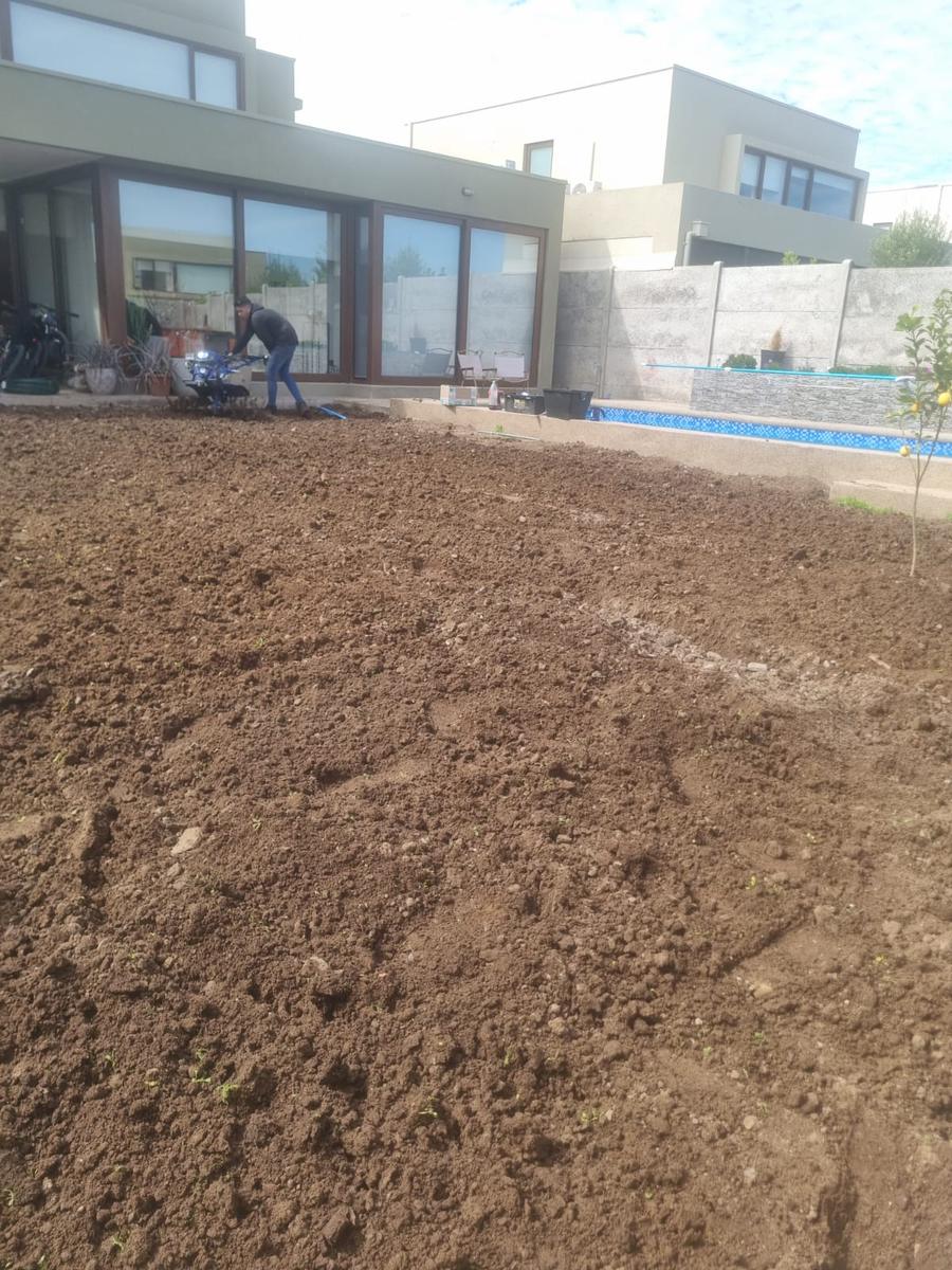 El patio antes de empezar.