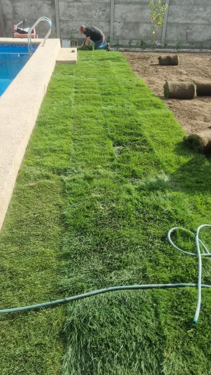 Equipo de Jardines Medina instalando pasto en rollo junto a una piscina