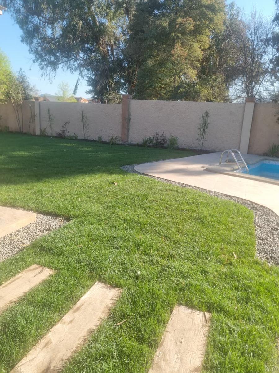 El césped junto a la piscina.